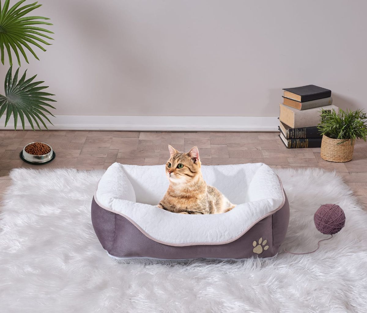 Small Foam Pet Bed with Removable Cover