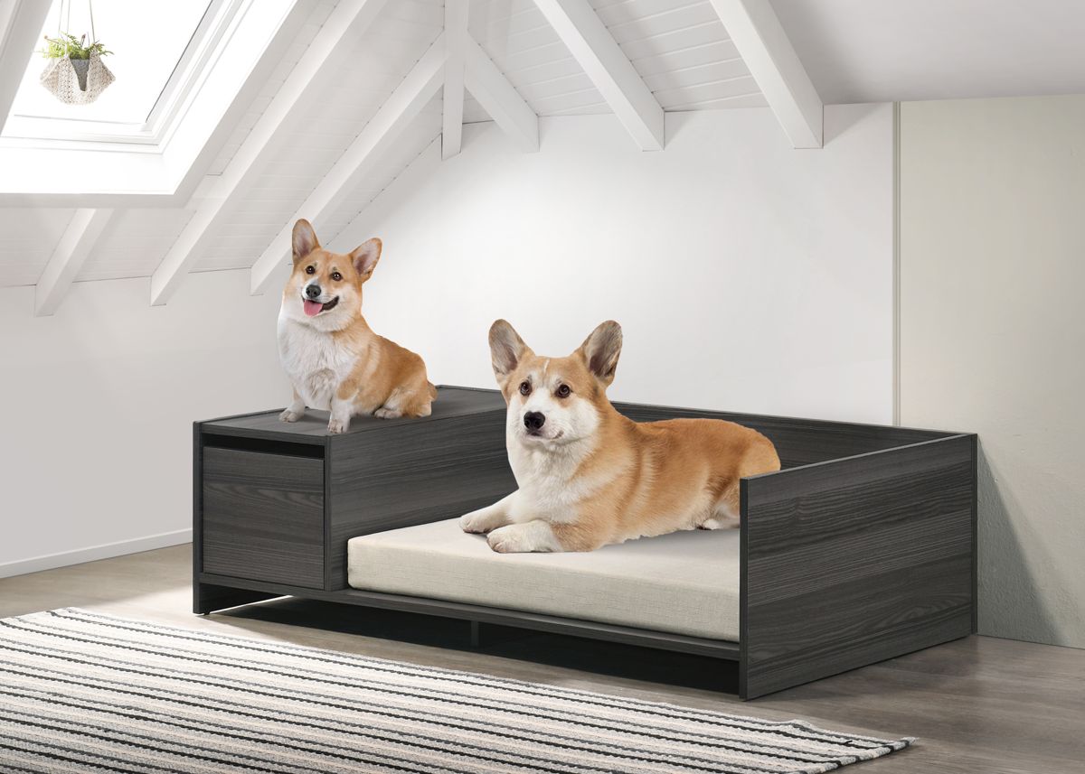 47-Inch Wide Cushioned Pet Bed with Side Storage