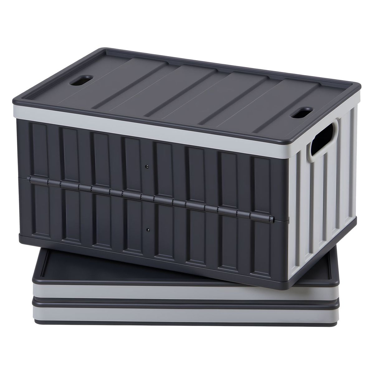 65L Collapsible Storage Bins with Lids, 3-Pack