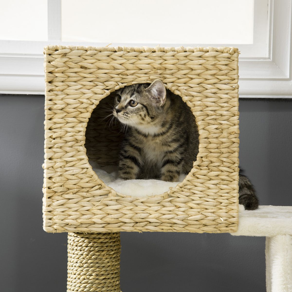 Cattail Weave Cat Tree with Cushioned Bed Cave — view 4