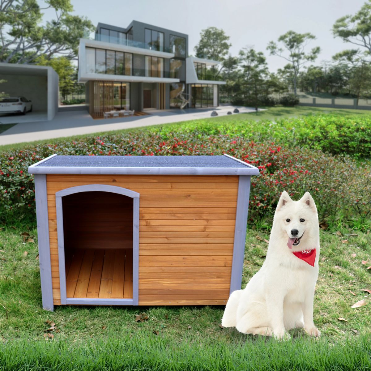 Raised Solid Wood Dog House for Large Dogs