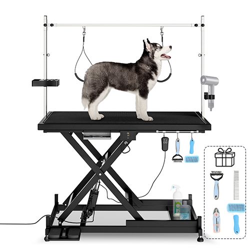 Electric X-Lift Pet Grooming Table