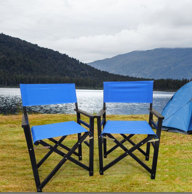 Folding Canvas Director Chairs, Set of 2