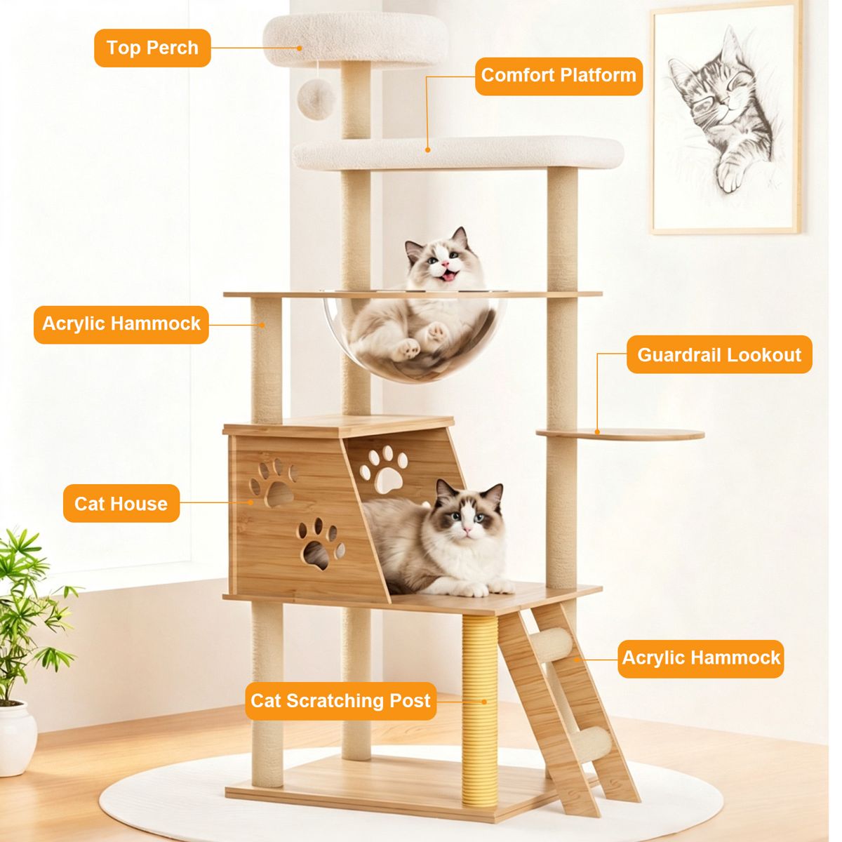 53.5-Inch Cat Tree with Capsule and Ladder — view 3