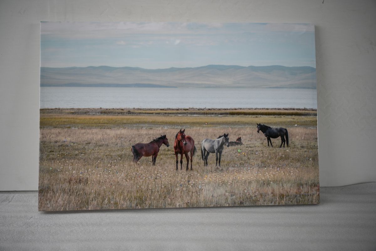 Framed Western Horses on Grassland Wall Art — view 2