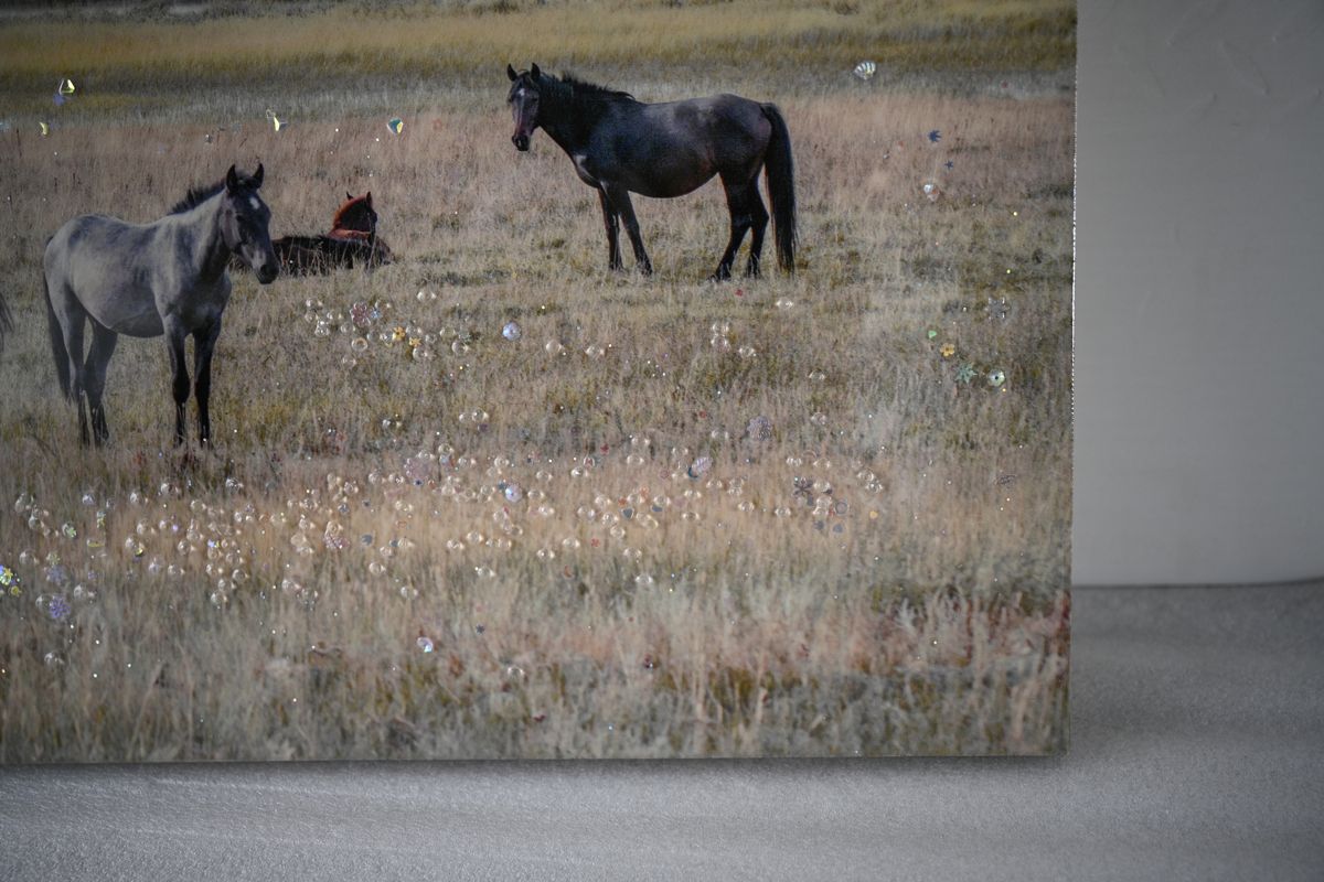 Framed Western Horses on Grassland Wall Art — view 4