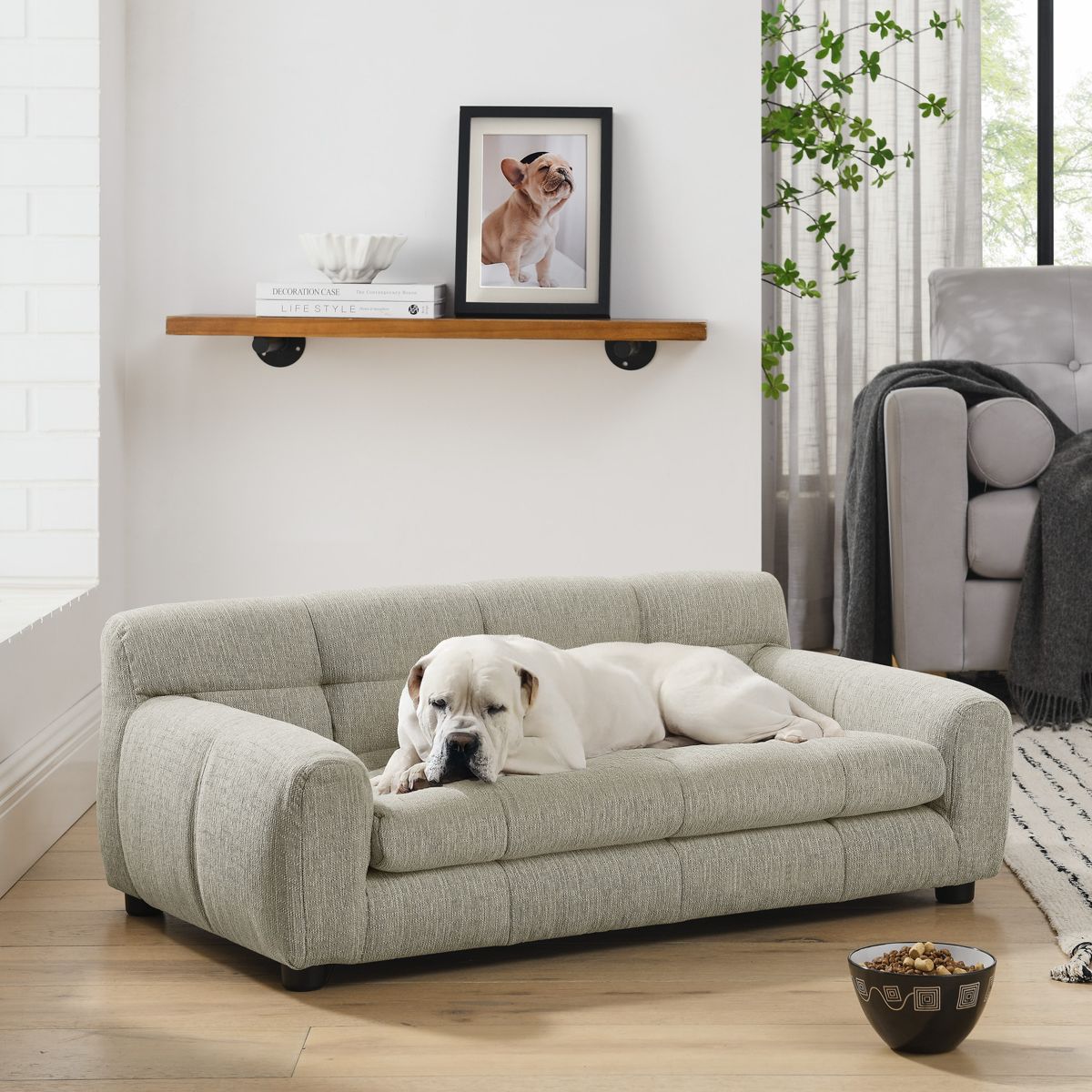 Armrest Pet Sofa for Small to Medium Dogs