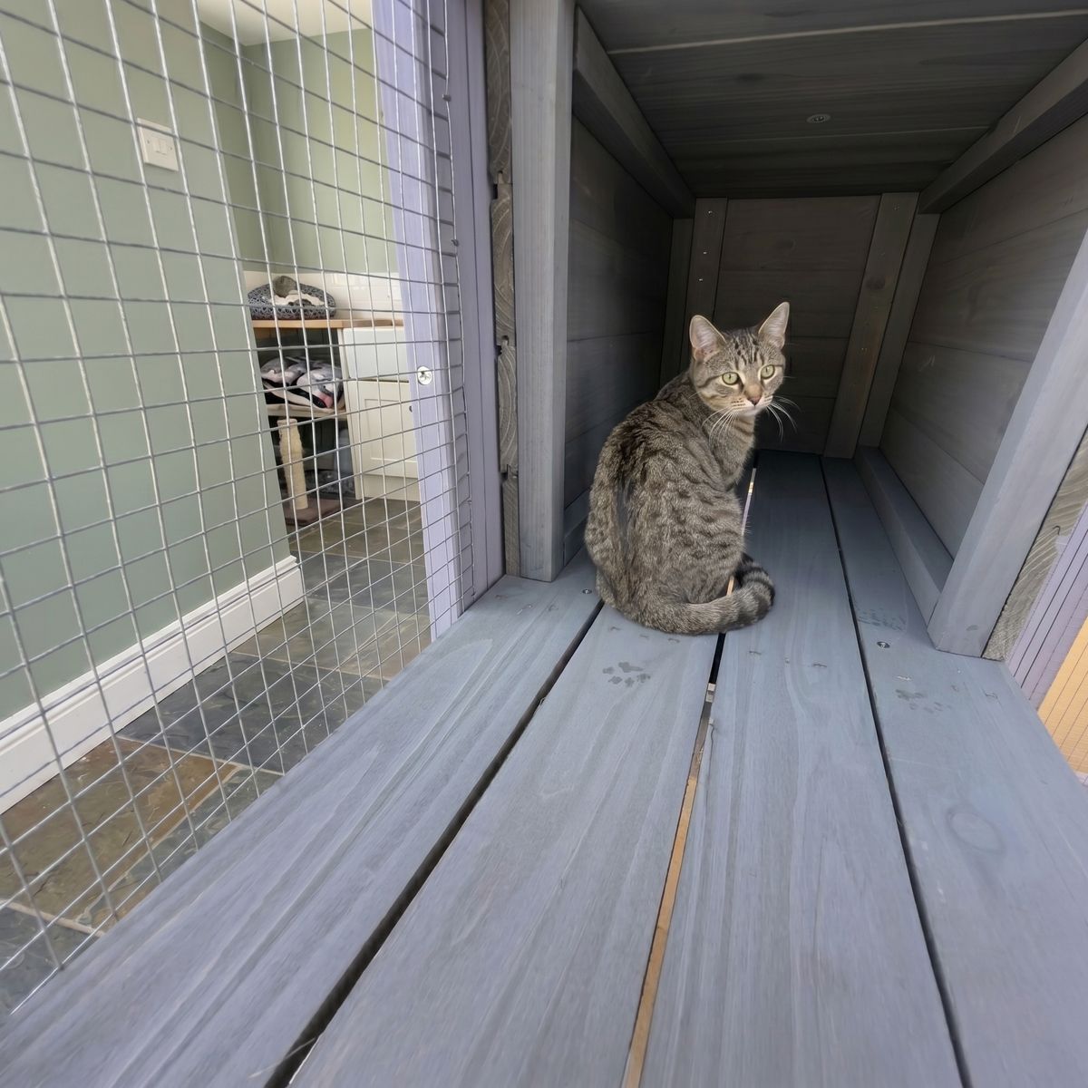 62.6-Inch Solid Wood Catio with Napping Houses — view 3
